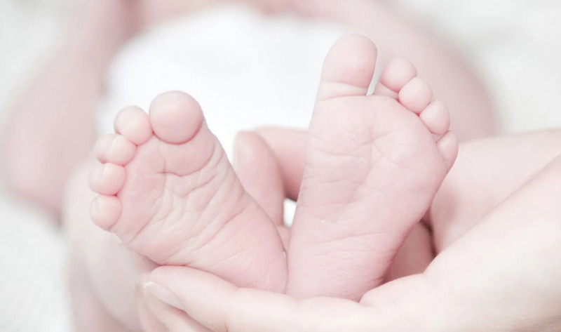 IVF (In Vitro Fertilization)