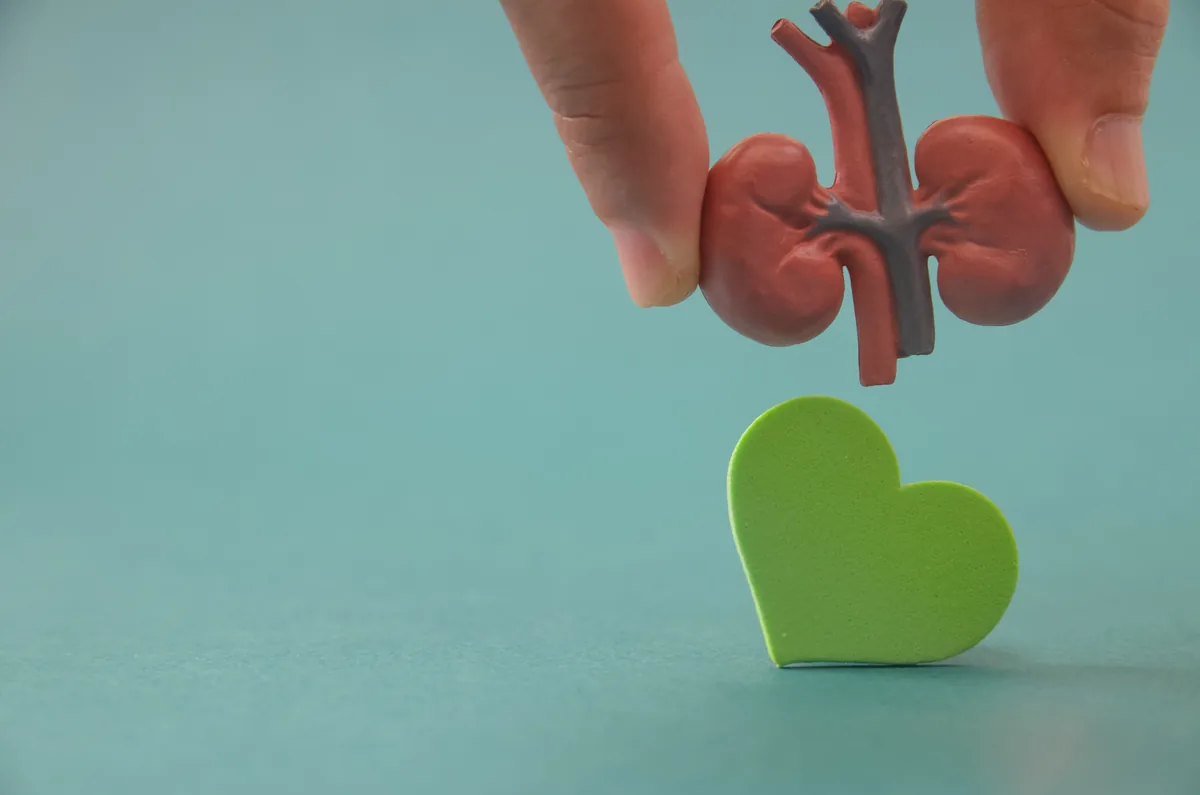 Organ Transplantation