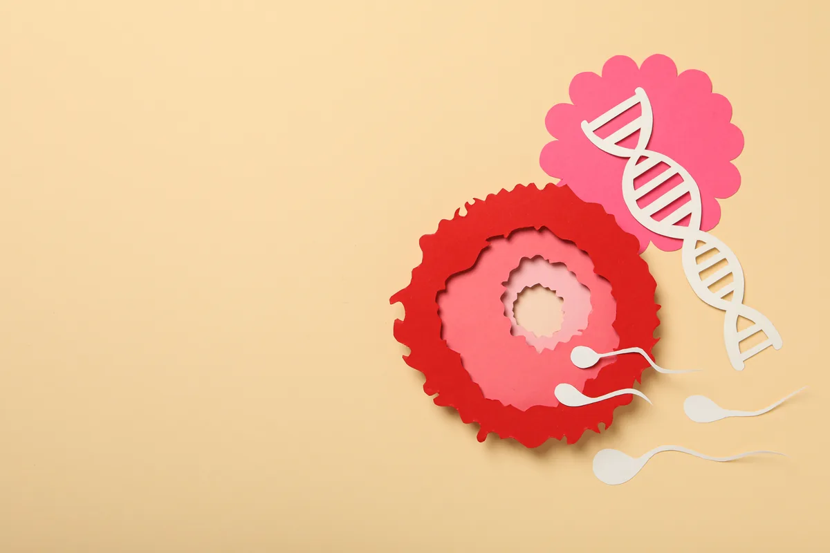 Preimplantation Genetic Diagnosis (PGD)