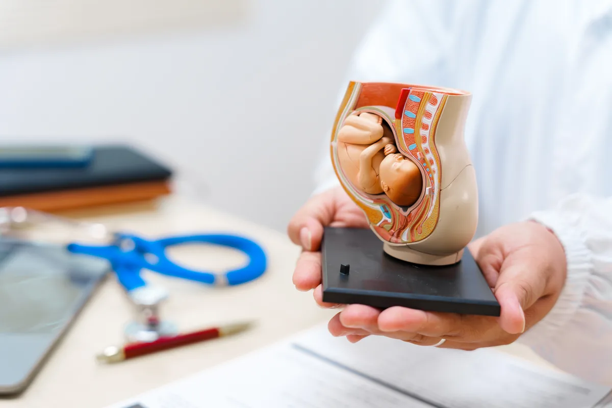 Unknown Facts About Painful Bladder Syndrome