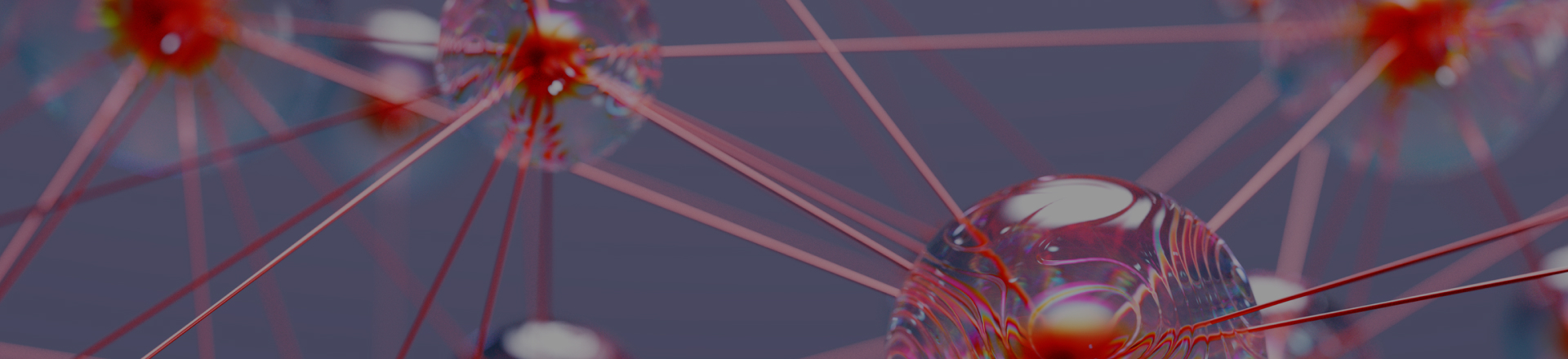 Integrated planning for international patient journeys